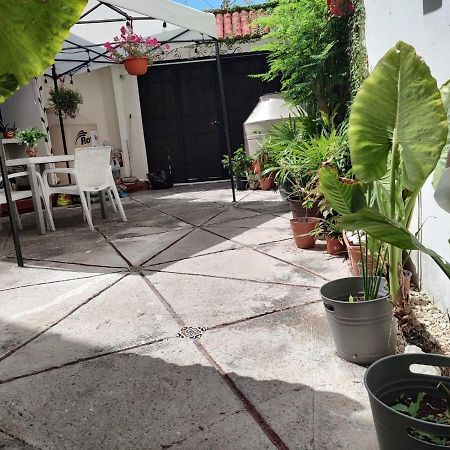 Casa Bugambilias Hotell Cancún Eksteriør bilde